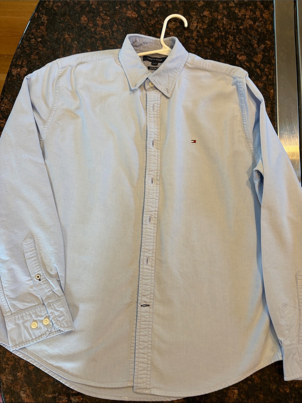 Tommy Hilfiger Light Blue Men's Oxford Button-Down Shirt with Embroidered Logo.